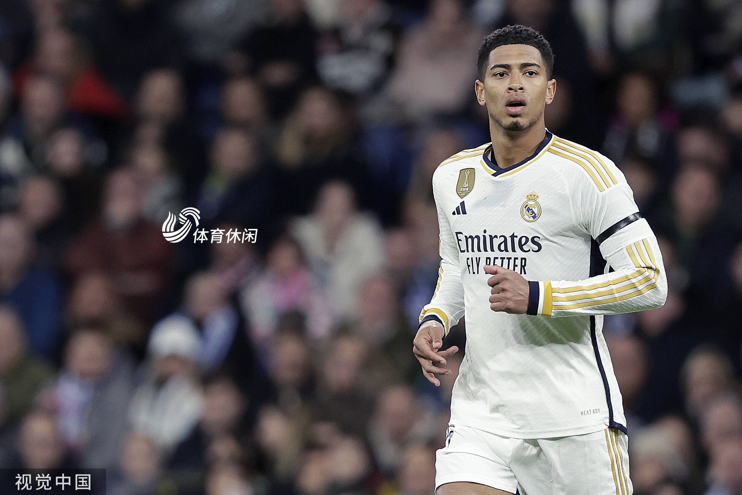 但真正的麻 但真正的麻